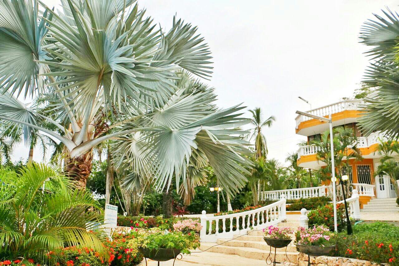 Eco Hotel Villa Martha Turbaco Exterior photo